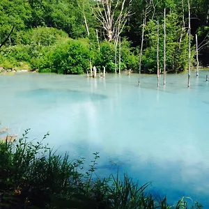 旅馆 托马民宿, 中富良野町